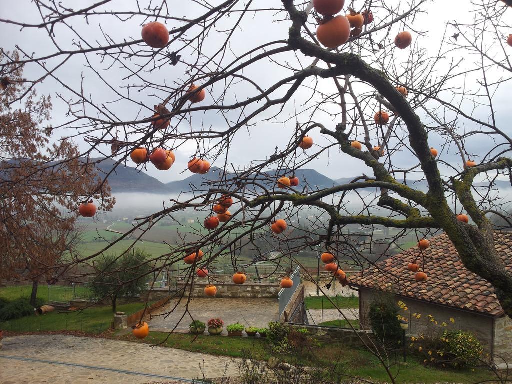 Fonte Chiara Villa Gubbio Buitenkant foto