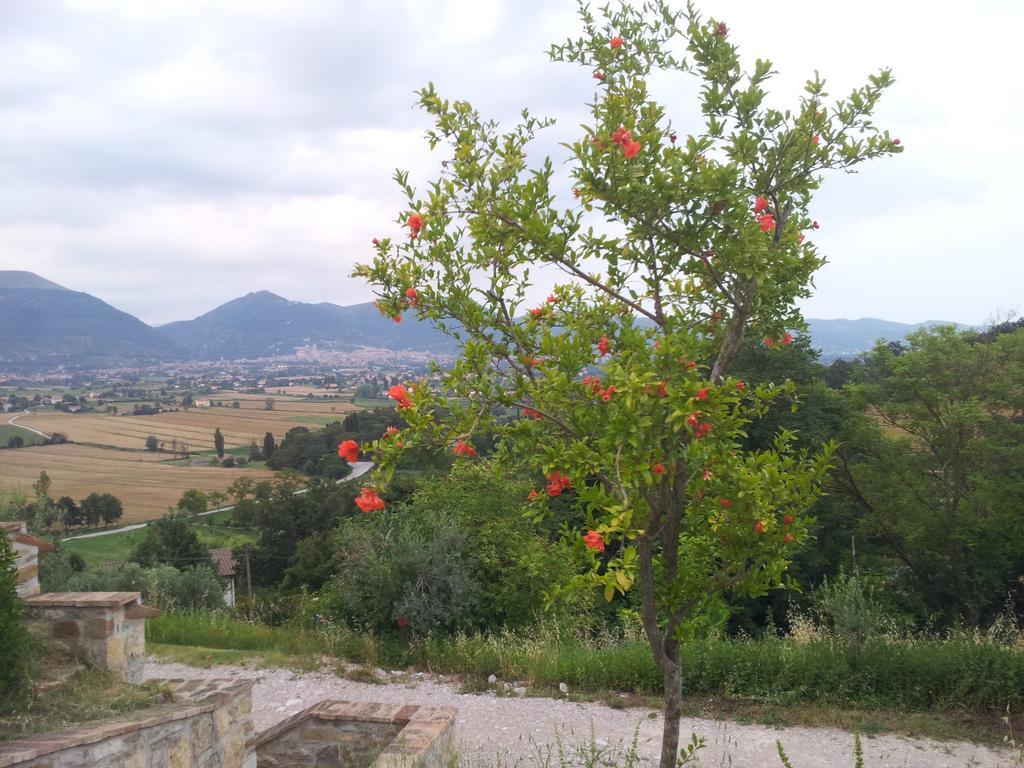 Fonte Chiara Villa Gubbio Kamer foto